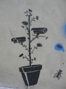 Turkish Graffitti